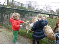 /album/fotogalerij-tarieven/p1010159-jpg/